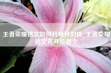 王者荣耀铭文如何升级升的快_王者荣耀铭文先升级哪个