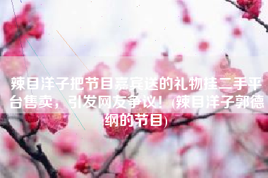 辣目洋子把节目嘉宾送的礼物挂二手平台售卖，引发网友争议！(辣目洋子郭德纲的节目)