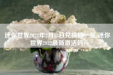 迷你世界2022年2月18日兑换码一览(迷你世界2022最新激活码)