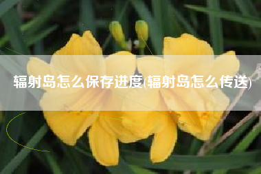 辐射岛怎么保存进度(辐射岛怎么传送)