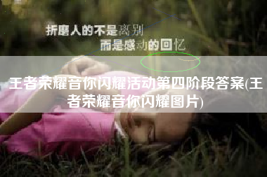 王者荣耀音你闪耀活动第四阶段答案(王者荣耀音你闪耀图片)