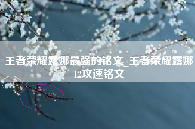 王者荣耀露娜最强的铭文_王者荣耀露娜12攻速铭文
