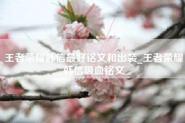 王者荣耀韩信最好铭文和出装_王者荣耀韩信吸血铭文