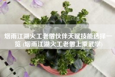 烟雨江湖火工老僧伙伴天赋技能选择一览 (烟雨江湖火工老僧上乘武学)