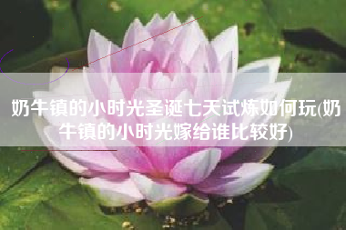 奶牛镇的小时光圣诞七天试炼如何玩(奶牛镇的小时光嫁给谁比较好)