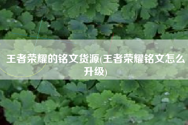 王者荣耀的铭文货源(王者荣耀铭文怎么升级)