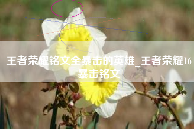 王者荣耀铭文全暴击的英雄_王者荣耀16暴击铭文