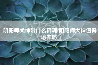 阴阳师犬神带什么御魂(阴阳师犬神值得培养吗)