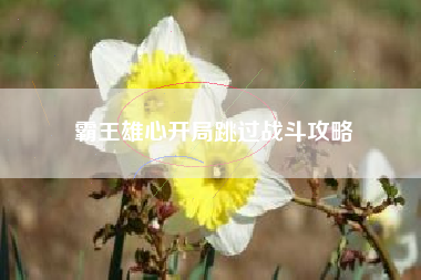 霸王雄心开局跳过战斗攻略