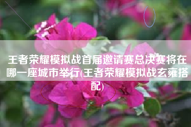 王者荣耀模拟战首届邀请赛总决赛将在哪一座城市举行(王者荣耀模拟战玄雍搭配)