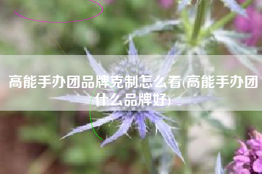 高能手办团品牌克制怎么看(高能手办团什么品牌好)
