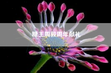 糖王周毅周年献礼