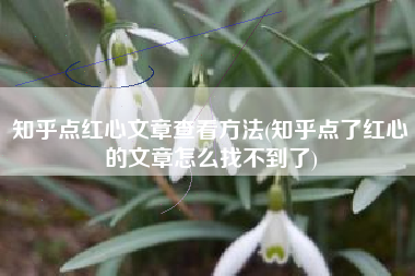 知乎点红心文章查看方法(知乎点了红心的文章怎么找不到了)