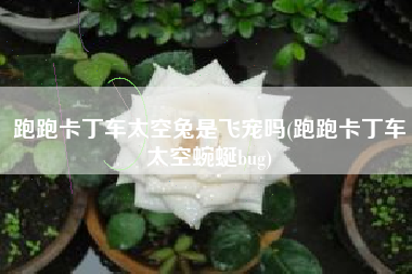 跑跑卡丁车太空兔是飞宠吗(跑跑卡丁车太空蜿蜒bug)