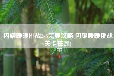 闪耀暖暖挑战2-5完美攻略(闪耀暖暖挑战关卡在哪)
