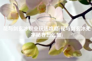 花与剑玄冰职业玩法攻略(花与剑玄冰无字秘卷怎么加)