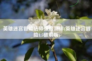 英雄迷宫冒险法师强度测评(英雄迷宫冒险1.5破解版)