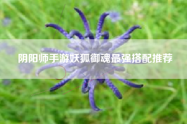 阴阳师手游妖狐御魂最强搭配推荐