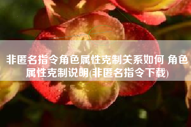 非匿名指令角色属性克制关系如何 角色属性克制说明(非匿名指令下载)