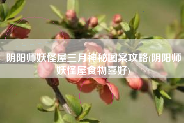 阴阳师妖怪屋三月神秘图案攻略(阴阳师妖怪屋食物喜好)