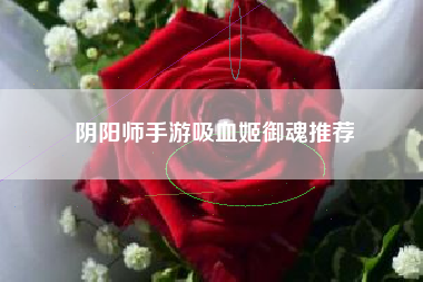 阴阳师手游吸血姬御魂推荐