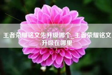 王者荣耀铭文先升级哪个_王者荣耀铭文升级在哪里