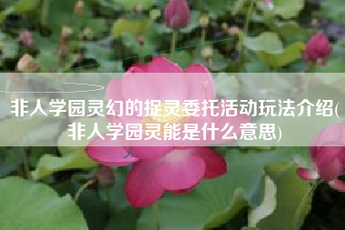 非人学园灵幻的捉灵委托活动玩法介绍(非人学园灵能是什么意思)