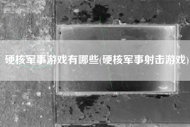 硬核军事游戏有哪些(硬核军事射击游戏)