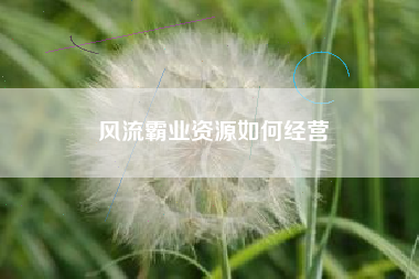 风流霸业资源如何经营