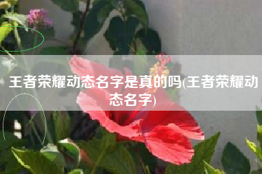 王者荣耀动态名字是真的吗(王者荣耀动态名字)