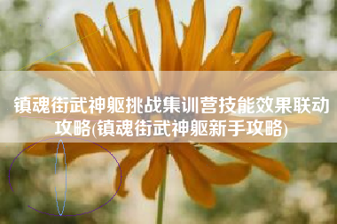 镇魂街武神躯挑战集训营技能效果联动攻略(镇魂街武神躯新手攻略)