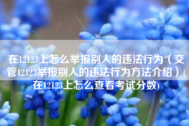 在12123上怎么举报别人的违法行为（交管12123举报别人的违法行为方法介绍）(在12123上怎么查看考试分数)