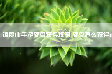镇魔曲手游旋骨获得攻略(旋骨怎么获得)