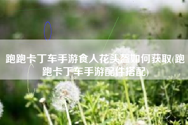 跑跑卡丁车手游食人花头盔如何获取(跑跑卡丁车手游配件搭配)