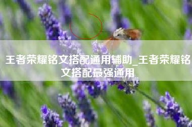 王者荣耀铭文搭配通用辅助_王者荣耀铭文搭配最强通用