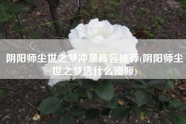 阴阳师尘世之梦冲星阵容推荐(阴阳师尘世之梦选什么资源)