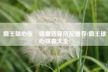 霸王雄心张郃锦囊选择搭配推荐(霸王雄心锦囊大全)