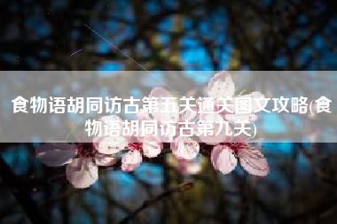 食物语胡同访古第五关通关图文攻略(食物语胡同访古第九关)