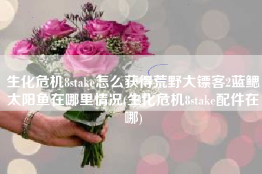 生化危机8stake怎么获得荒野大镖客2蓝鳃太阳鱼在哪里情况(生化危机8stake配件在哪)