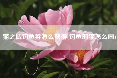猫之城钓鱼券怎么获得(钓鱼的猫怎么画)