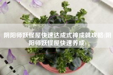 阴阳师妖怪屋快速达成式神成就攻略(阴阳师妖怪屋快速养成)