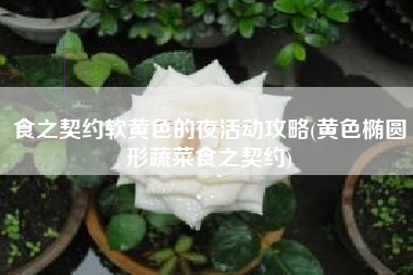 食之契约软黄色的夜活动攻略(黄色椭圆形蔬菜食之契约)