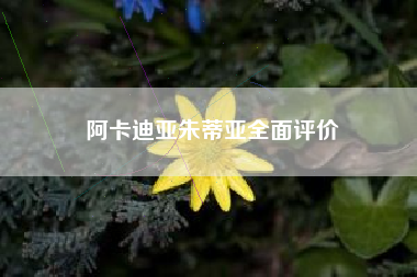 阿卡迪亚朱蒂亚全面评价