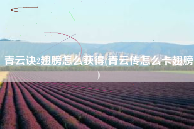 青云诀2翅膀怎么获得(青云传怎么卡翅膀)