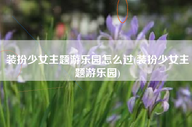 装扮少女主题游乐园怎么过(装扮少女主题游乐园)