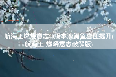航海王燃烧意志80版本沙鳄鱼喜迎提升(航海王-燃烧意志破解版)