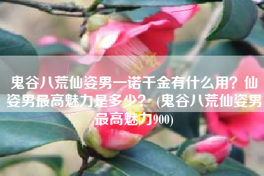 鬼谷八荒仙姿男一诺千金有什么用？仙姿男最高魅力是多少？ (鬼谷八荒仙姿男最高魅力900)