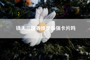 镁天三国姜维是最强卡片吗