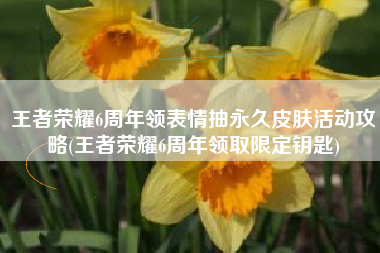 王者荣耀6周年领表情抽永久皮肤活动攻略(王者荣耀6周年领取限定钥匙)