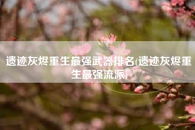 遗迹灰烬重生最强武器排名(遗迹灰烬重生最强流派)